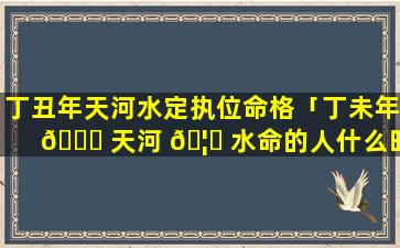 丁丑年天河水定执位命格「丁未年 🕊 天河 🦟 水命的人什么时辰生最好」